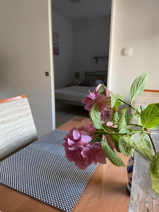Duje & Roko Apartments Шибеник Экстерьер фото